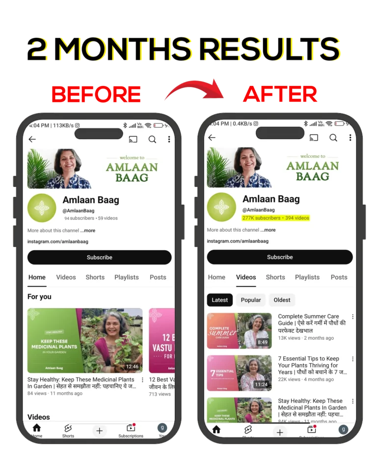 brandistan smm growth 2